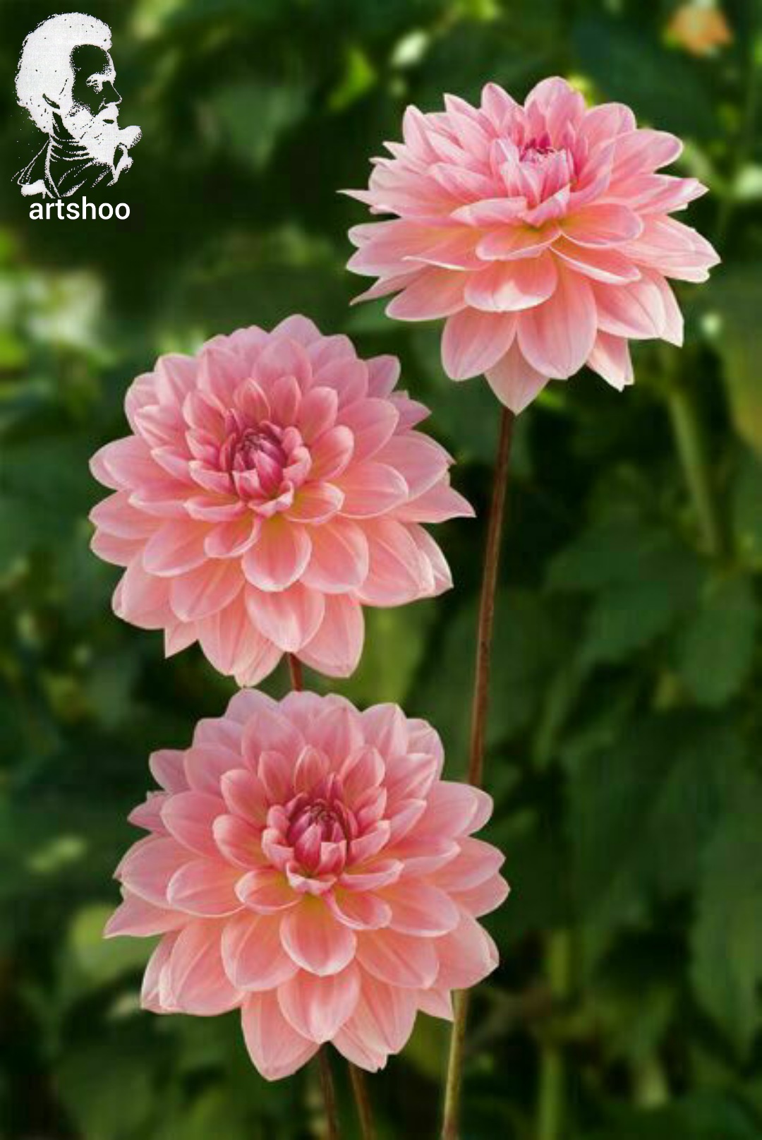 گل اورژینال رنگ روغن